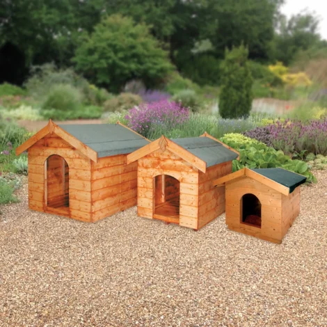 0.6x0.5 Puppy, Glen, Sutton Kennel (non 3D)
